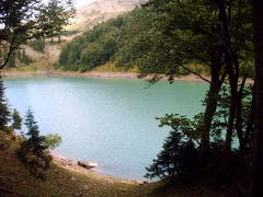 Mcvane tba (Žaliasis ežeras)