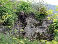 Bukisciche tvirtovės griuvėsiai