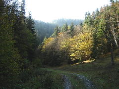 Boržomi-Charagauli nacionalinis parkas
