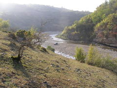 Džručula upė
