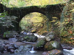 Čvana tiltas
